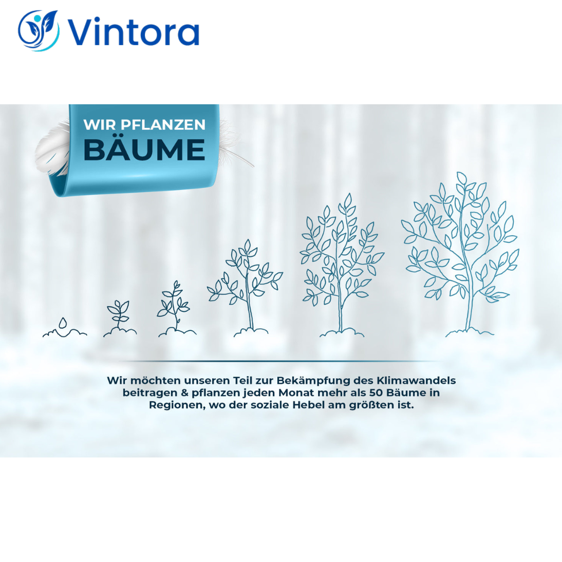 Orthopädisches Kopfkissen Nackenschmerzen aus Memory Foam